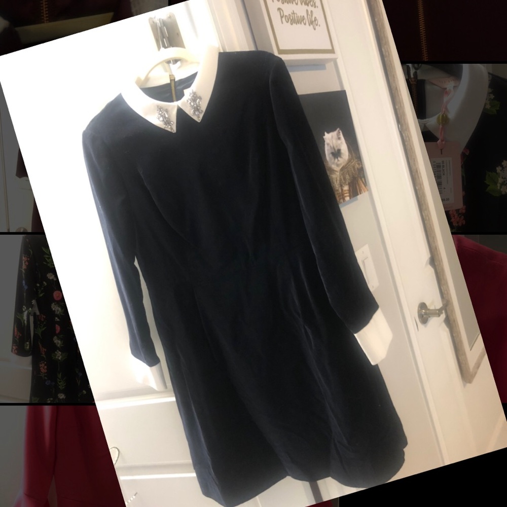 Ted Baker Blk Velvet dress NWT size 4